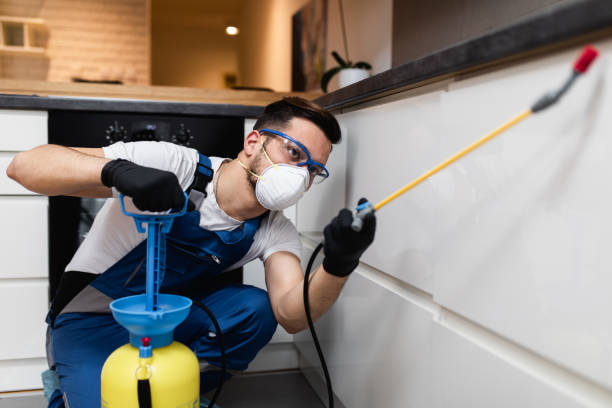 Best Affordable Pest Control Services  in North Miami, FL