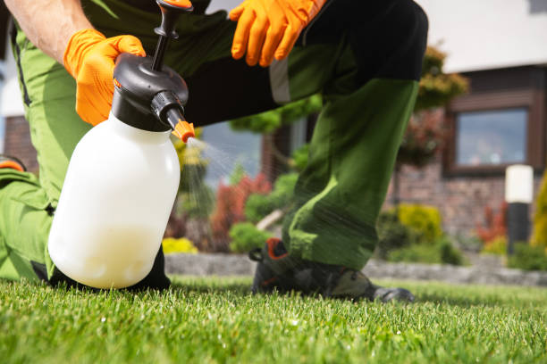 Best Spider Control Near Me  in North Miami, FL