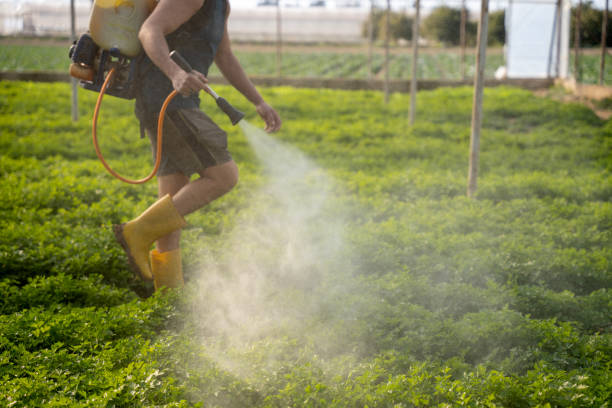 Best Pest Control Cost  in North Miami, FL