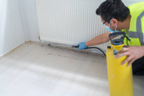 Pest Control Cost in North Miami, FL